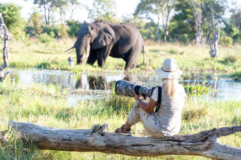Best Times and Locations to Shoot Wildlife Photography in South Africa