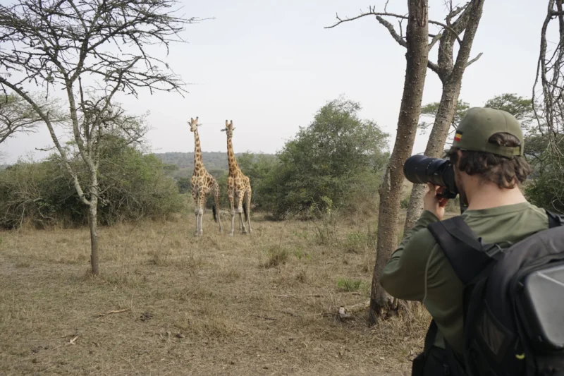 Wildlife photography in South Africa